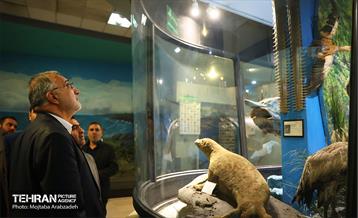 بازدید شهردار تهران از مجموعه پارک پردیسان 18