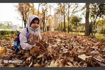 گذرگاه های پاییزی پایتخت - منطقه 14