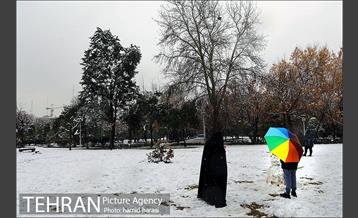 روز برفی بلوار کشاورز 16