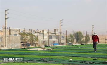 ساخت زمین چمن مصنوعی در شهر قصرشیرین 9