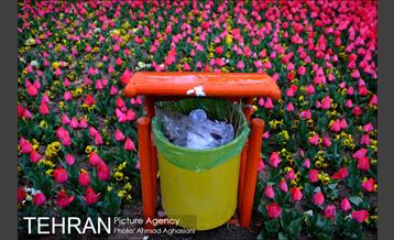 جشنواره لاله‌ها در بوستان زندگی محله هرندی 23