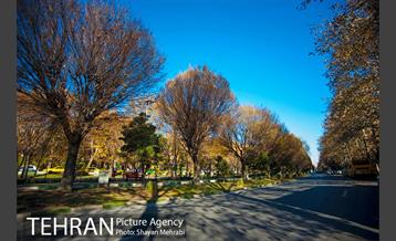 پاییز بلوار کشاورز 18