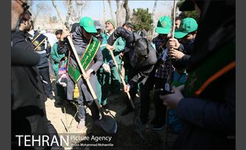 غرس نهال در بوستان بهاران 18