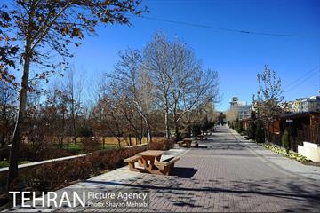 بوستان پلیس 29