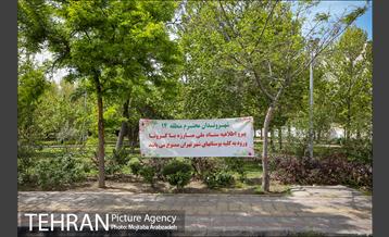 روز طبیعت بدون انسان 13