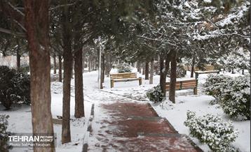 روز برفی تهران - 1 20