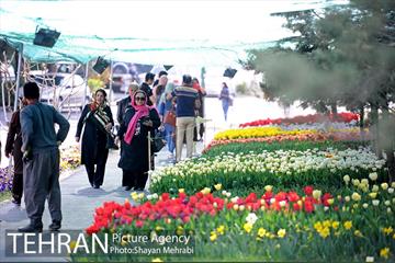پیاده راه لاله مادران 12