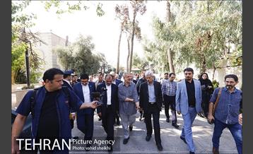 تهران گردی احمد مسجد جامعی به مناسبت روز مشروطه 14