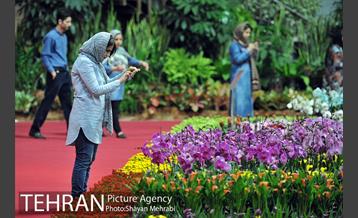 شانزدهمین نمایشگاه بین المللی گل و گیاه تهران - 2 52
