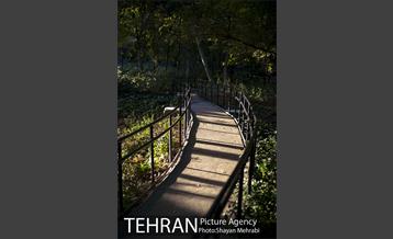 بوستان باغ ایرانی 21