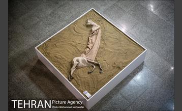 نمایشگاه دو سالانه مجسمه سازی تهران 16