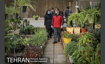 پویش سه شنبه های بدون خودرو در منطقه 8