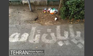 تجارت غیرقانونی "پایان نامه" 13