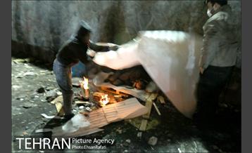 یک شب با شهردار شب تهران  25