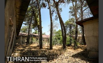 از پادگان 06 تا بوستان بزرگ ارتش 18