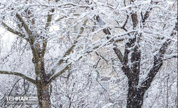 روز برفی در منطقه 6