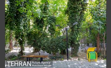 بوستان هورفر 5