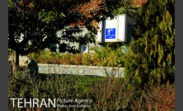 پاییز رنگارنگ بوستان جوانمردان ایران 3