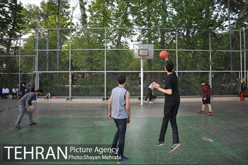 باغ ایرانی (بوستان مهندس مختاری) 18