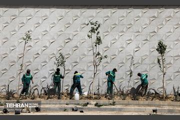 به وقت خدمت؛ بزرگراه شهید بروجردی 12