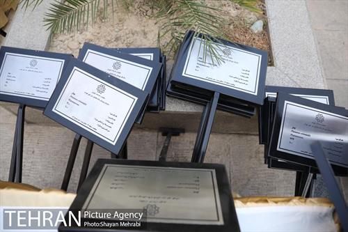 آیین نکوداشت درختان بالای صد سال تهران 18