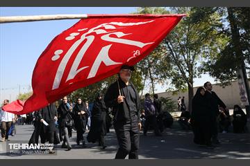 پیاده روی جاماندگان اربعین حسینی(ع) در تهران 27