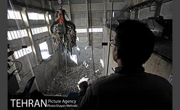 بازدید شهردار تهران از مجتمع پردازش و دفع پسماند آرادکوه 22