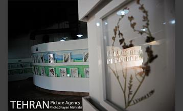 موزه گیاه شناسی دارآباد 3