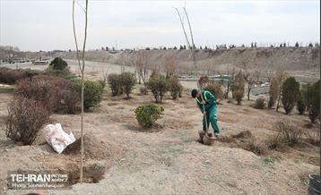 آئین غرس درخت به پاسداشت شهدای منطقه ۵ 41