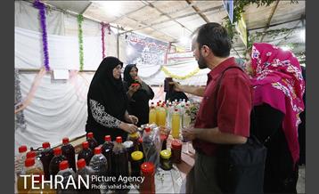 جشنواره شاتوت و محصولات محلی دهستان سولقان 7
