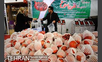 افتتاح نهمین نمایشگاه محصولات ارگانیک 40