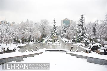روز برفی تهران در بوستان ملت 10