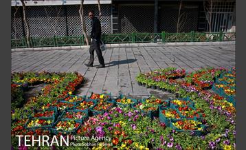نمایشگاه گل و گیاه نوروزی در پیاده راه ۱۷ شهریور