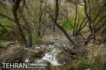 روز طبیعت در بوستان هاى منطقه ٥
