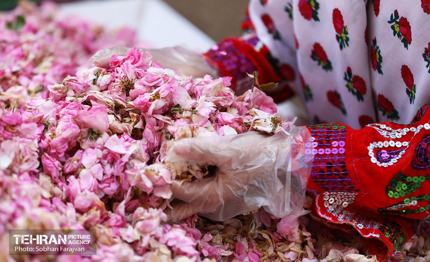 نوزدهمین جشنواره گل و گلاب تهران | آژانس عکس تهران