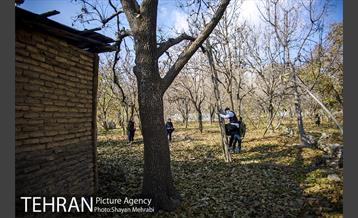 تور عکاسی آژانس عکس تهران در محله کن و سولقان 9