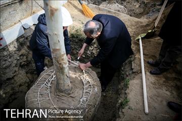 تهران گردی احمد مسجدجامعی 9