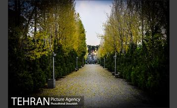 باغ موزه قصر 22