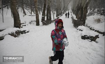روز برفی تهران - 2 30