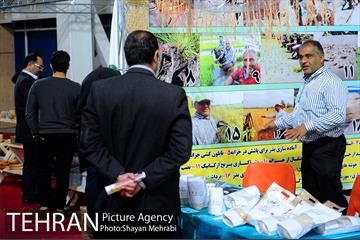 یازدهمین نمایشگاه محصولات غذایی ارگانیک 4