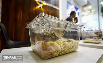 نمایشگاه ایران فارما  20