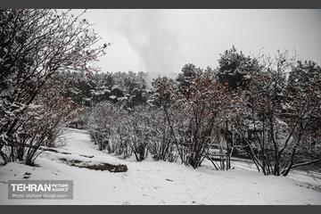روز برفی تهران - 2 44