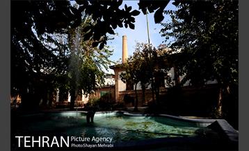 موزه حیات وحش هفت چنار 8