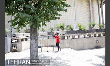 زیر آفتاب سوزان 5