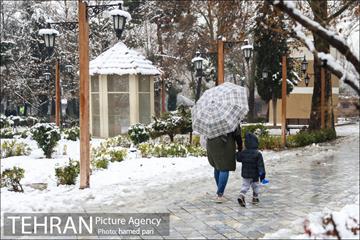 روز برفی تهران در پارک شهر 8