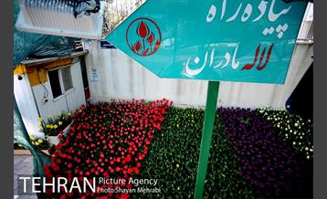 پیاده راه لاله مادران 34