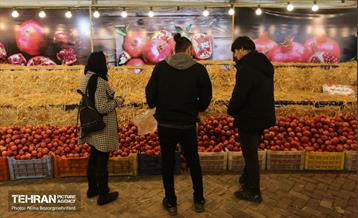 جشنواره انار در بوستان آب و آتش  6