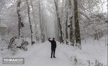 روایت مه‌و‌برف در بوستان سنگی تهران  5