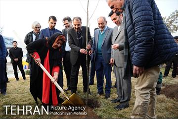 کاشت شش نهال درخت زیتون با حضور کارگرداران سینمای ایران 6