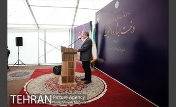 آیین کاشت درخت ایثار و امنیت 20